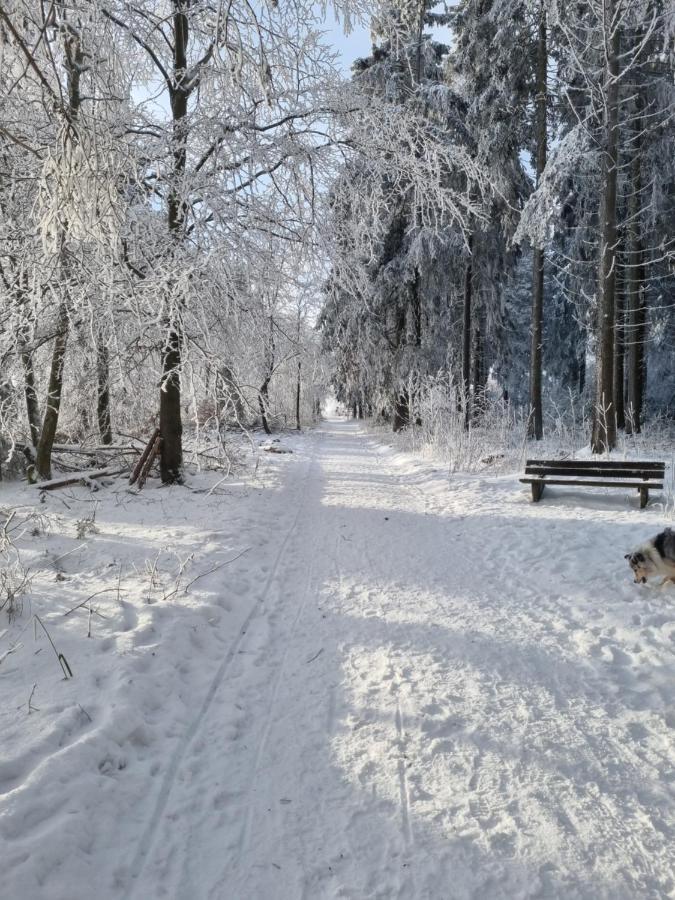 Ferienwohnung Schanzenblick Winterberg Bagian luar foto
